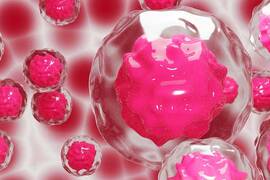 Avances en investigación de células madre en pelo artificial