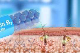 Biotina para el pelo: ¿para qué sirve?