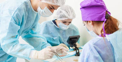 Clonación capilar: ¿para cuándo será posible?