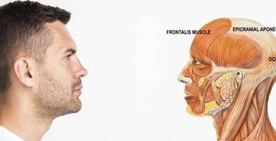 الصفاق القحفي و تساقط الشعر