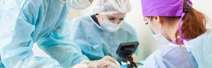 Клонирование волос: когда это будет доступно?