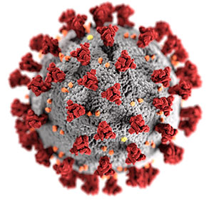 imagen del coronavirus