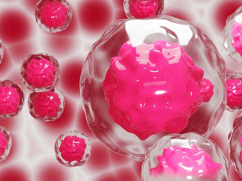 Avances en investigación de células madre en pelo artificial