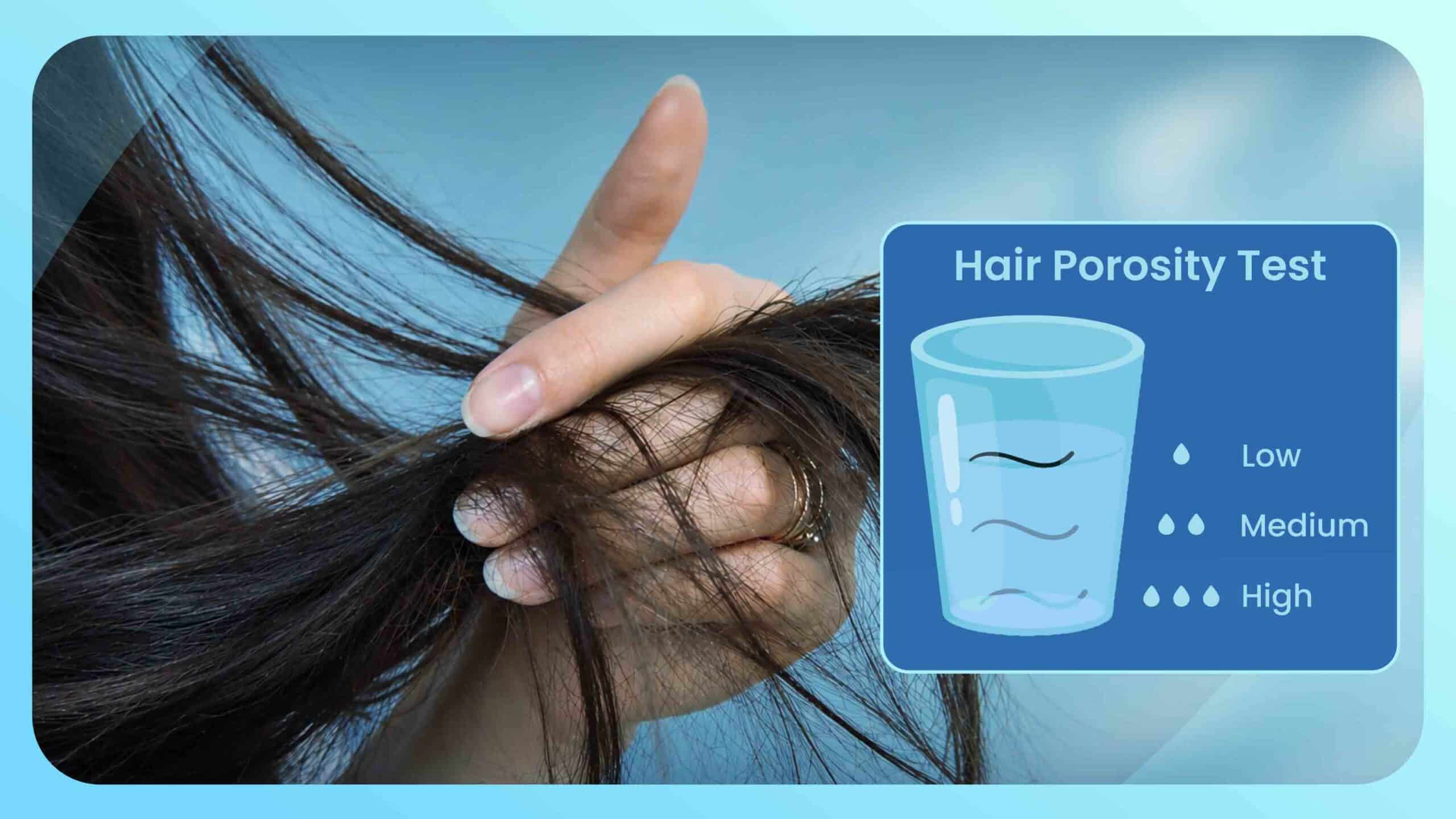 What Is Low Porosity Hair? Biology, Characteristics, and Home Tests